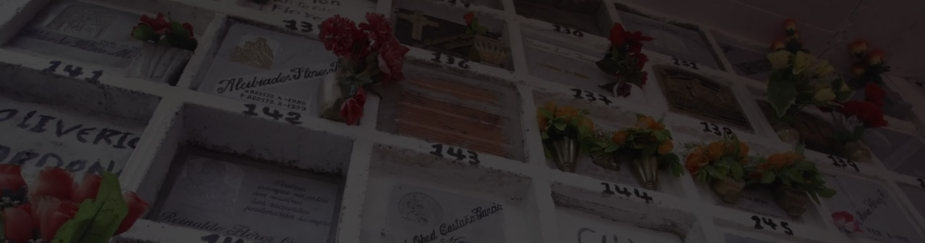 banner_retorno