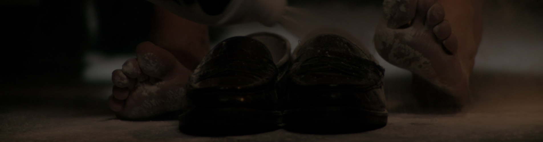 banner_rosas