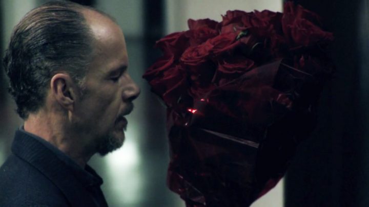 rosas_3